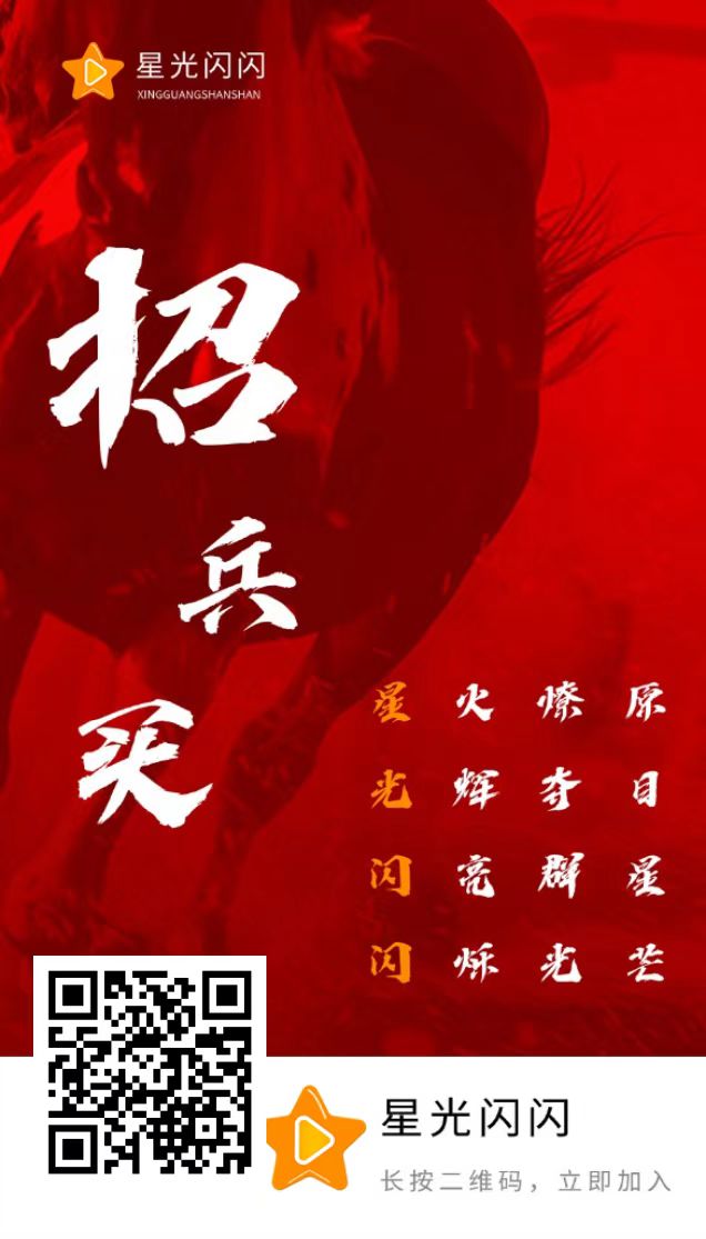 星光闪闪，零撸项目